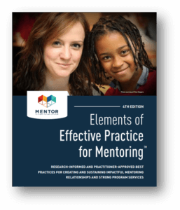 elements of effective practice